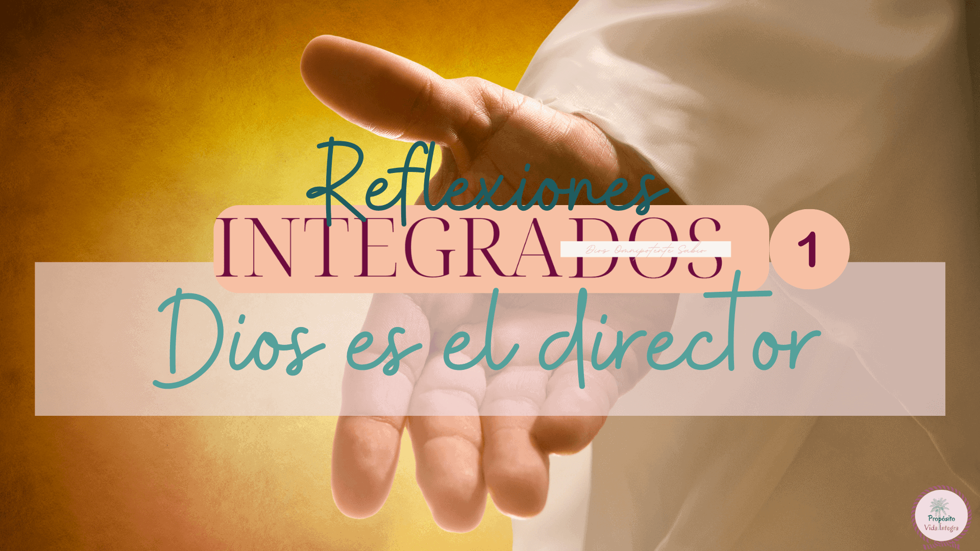 Reflexiones Integrados